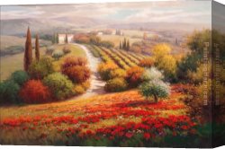 A View of The Forum Canvas Paintings - Vineyard View I by Roberto Lombardi