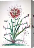 Stretched Canvas Painting