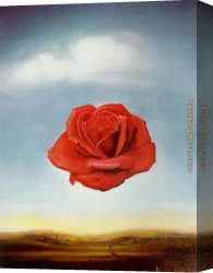 Park of Rose Canvas Paintings - meditative rose by Salvador Dali