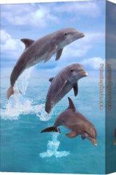 Allegory of Human Life Canvas Paintings - Dolphin by Sea life