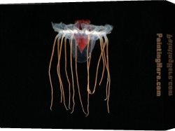 Allegory of Human Life Canvas Paintings - Jellyfish 1 by Sea life