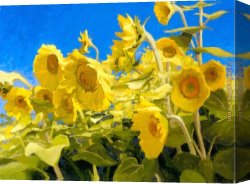 Sky in Honfleur Canvas Paintings - Blue Sky Sunshine by Shirley Novak