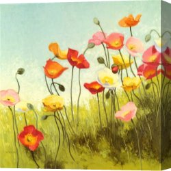 A Goat in a Meadow Canvas Paintings - Meadow Suite I by Shirley Novak