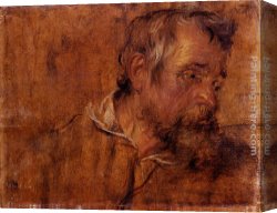 Dyck Canvas Paintings - Profile Study Of A Bearded Old Man by Sir Antony van Dyck