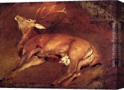 Stag Canvas Paintings - Study Of A Dead Stag by Sir Edwin Henry Landseer
