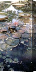 Bloom Canvas Paintings - Waterlilies in Bloom by Steve Hanks