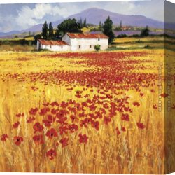 Mediterranean Canvas Paintings - Poppies field by Steve Thoms