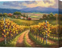 Hills of Tuscany I Canvas Paintings - Vineyard Hill I by Sung Kim