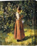 Buy Stretched Canvas Painting