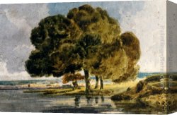 A Picnic on The Riverbank Canvas Paintings - Trees On A Riverbank by Thomas Girtin