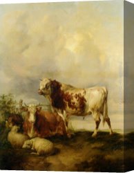 Cooper Canvas Paintings - A Bull and Cow with Two Sheep and Goat by Thomas Sidney Cooper