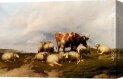Cooper Canvas Paintings - A Cow And Sheep On The Cliffs by Thomas Sidney Cooper