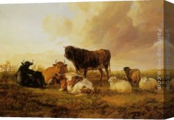 Prospecting for Cattle Range Canvas Paintings - Cattle and Sheep in a Field by Thomas Sidney Cooper