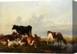 Cooper Canvas Paintings - Cattle and Sheep Probably in Canterbury Meadows by Thomas Sidney Cooper
