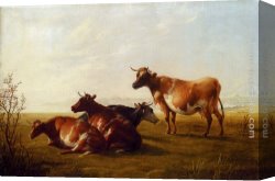 Cooper Canvas Paintings - Cows in a Meadow by Thomas Sidney Cooper