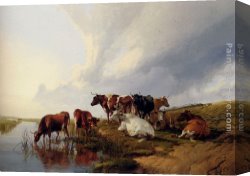 Cooper Canvas Paintings - Evening In The Meadows by Thomas Sidney Cooper