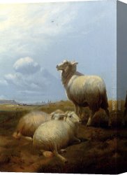 Cooper Canvas Paintings - Sheep At Pasture by Thomas Sidney Cooper