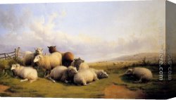 Cooper Canvas Paintings - Sheep In An Extensive Landscape by Thomas Sidney Cooper