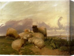 Cooper Canvas Paintings - Sheep In Canterbury Water Meadows by Thomas Sidney Cooper