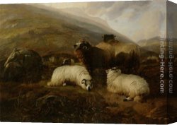 Cooper Canvas Paintings - Sheep in the Highlands by Thomas Sidney Cooper