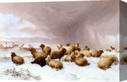 Cooper Canvas Paintings - Sheep In Winter by Thomas Sidney Cooper