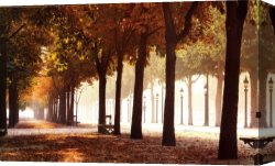 Les Champs Elysees Au Petit Matin Canvas Paintings - Champs-Elysees by Unknown Artist