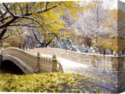 Early Winter in The Sierra Nevada Canvas Paintings - Early Snowfall, Central Park by Unknown Artist