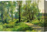 Stretched Canvas Painting