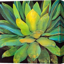 Surrealism Canvas Paintings - Jillian David Agave by Unknown Artist
