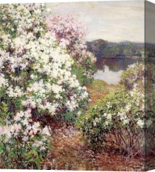 Metcalf Canvas Paintings - Metcalf Mountain Laurel by Unknown Artist
