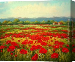 Palette Knife Canvas Paintings - Poppy field by Unknown Artist