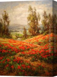 A View of The Forum Canvas Paintings - Poppy Field A View From Above by Unknown Artist