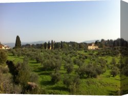 Tuscany Canvas Paintings - Tuscany 2 by Unknown Artist