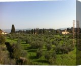 Stretched Canvas Painting