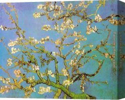 The Torture of St George Michiel Van Coxcie Canvas Paintings - Almond Branches in Bloom by Vincent van Gogh