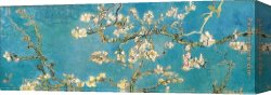 Branches Canvas Paintings - Almond Branches in Bloom, San Remy by Vincent van Gogh