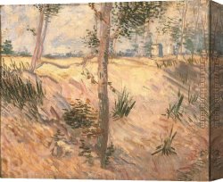 Champs Canvas Paintings - Arbre dans un champ 1887 by Vincent van Gogh