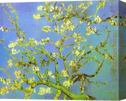 Trees in Park Canvas Paintings - Branches of Almond tree in Bloom by Vincent van Gogh