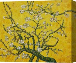 Yellow Canvas Paintings - Branches of an Almond Tree in Blossom yellow by Vincent van Gogh
