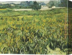 Champs Canvas Paintings - Champ de bl et maison blanche 1890 by Vincent van Gogh