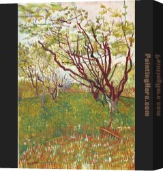 Trees in Park Canvas Paintings - Cherry Tree by Vincent van Gogh