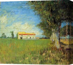 Field of Spring Wheat at Sunrise Canvas Paintings - Farmhouses in a Wheat Field by Vincent van Gogh