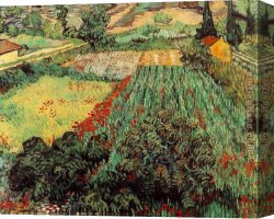 Fields of Tuscany I Canvas Paintings - Field with Poppies by Vincent van Gogh