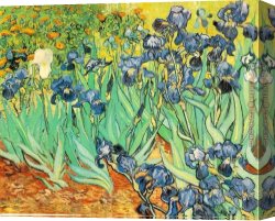 The Torture of St George Michiel Van Coxcie Canvas Paintings - Irises by Vincent van Gogh