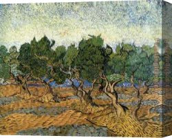 Les Amiants Canvas Paintings - Les oliviers 1 1889 by Vincent van Gogh