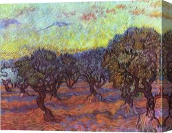 Bernaert Van Orley Canvas Paintings - Olive grove by Vincent van Gogh