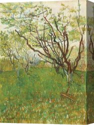 The Pear Orchard Canvas Paintings - Orchard in Blossom 1 by Vincent van Gogh