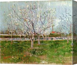 Those Blossoms You Gave So Freely 1 Canvas Paintings - Orchard in Blossom by Vincent van Gogh