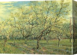Trees in Park Canvas Paintings - Orchard with Blossoming Plum Trees by Vincent van Gogh