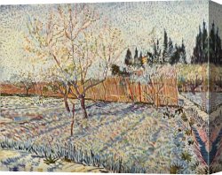 The Pear Orchard Canvas Paintings - Orchard with cypress by Vincent van Gogh